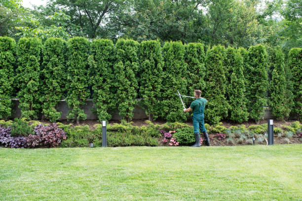 Lawn Grading and Leveling in Wonder Lake, IL